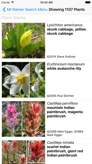 How to cancel & delete Mt Rainier Wildflowers from iphone & ipad 2