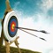 Archery World Champion : Shooter Challenge 3D