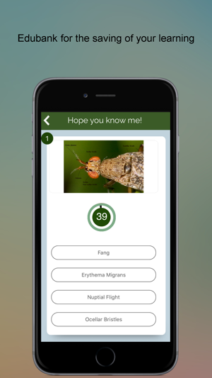 Entomology SMART Dictionary(圖5)-速報App