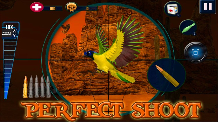 Wild Bird Hunter :Hunting Shooting Simulation free