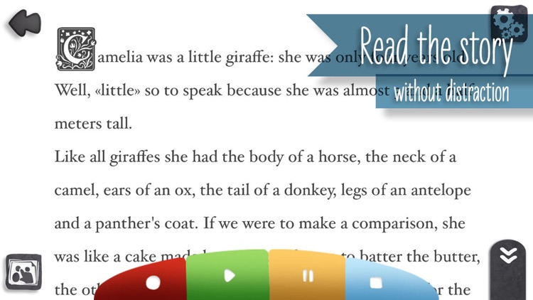 Camelia the giraffe Book!