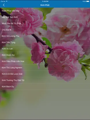 Captura de Pantalla 1 Mindfulness Bell iphone