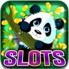 Grand Panda Slots: Join the ultimate Chinese gambling table and be the fortunate winner