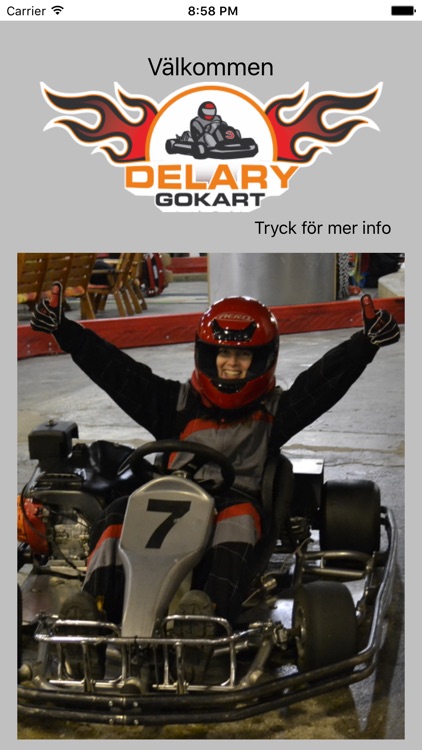 Delary Gokart