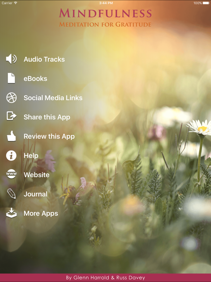 Mindfulness Meditation for Gratitude