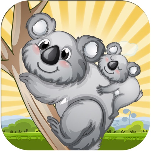 Koala Fall Survival Blast - Crazy Angry Dingo Escape Game for Kids Icon