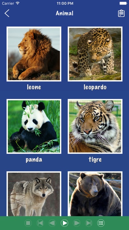 Italian Word - Learn Italian Language Vocabulary