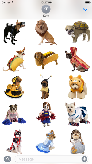 Costume Dogs(圖2)-速報App