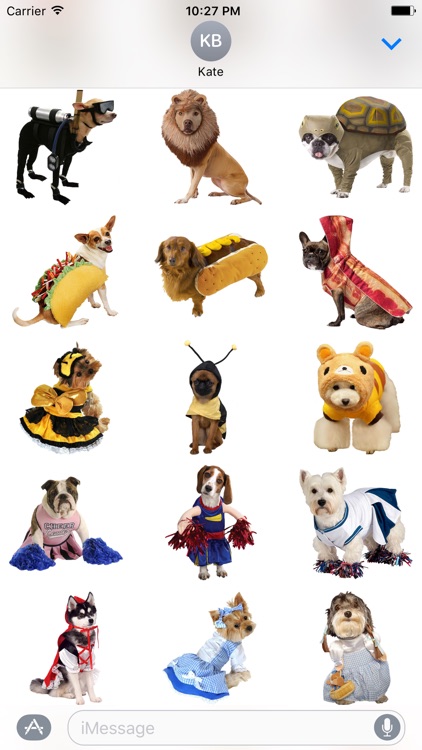 Costume Dogs