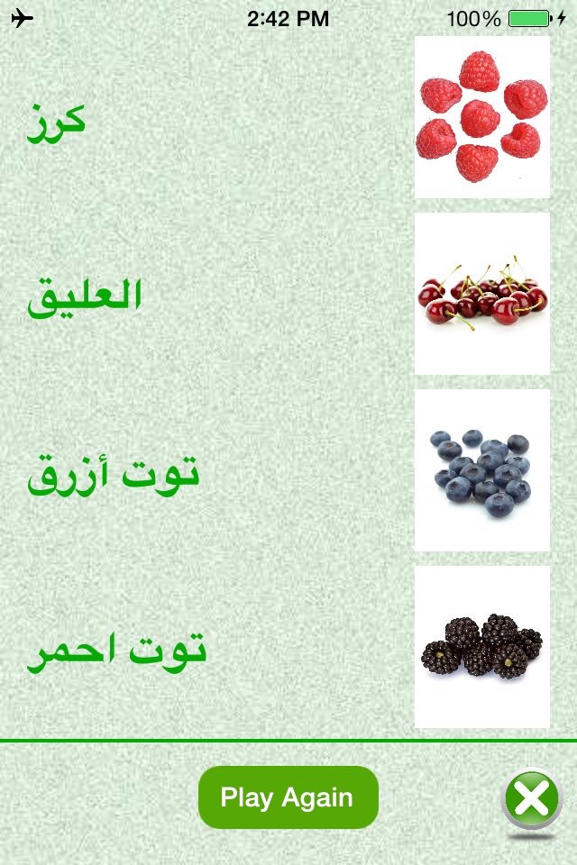 FlashCards Arabic Lesson screenshot 4
