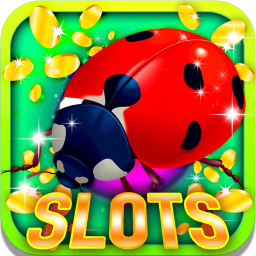 Bugs Slot Machine: Roll the spider dice iOS App