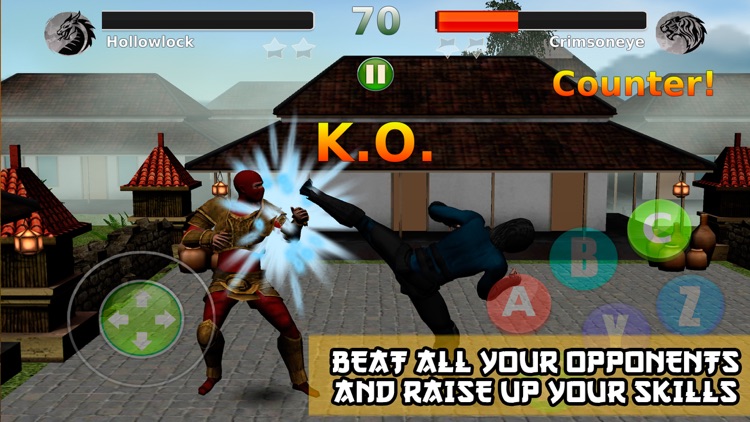 Ninja Revenge: Kung Fu Fighting - 2