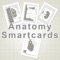 Anatomy SmartCards is a study app that helps you learn anatomy better, faster, and easier