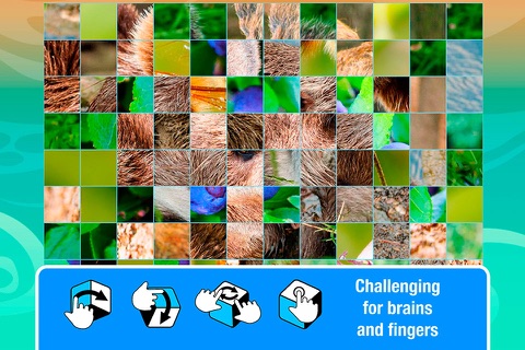Smart Cubes: forest animals puzzle games for kids screenshot 3