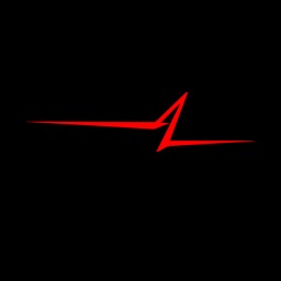 Optional Auto OBD SAFE