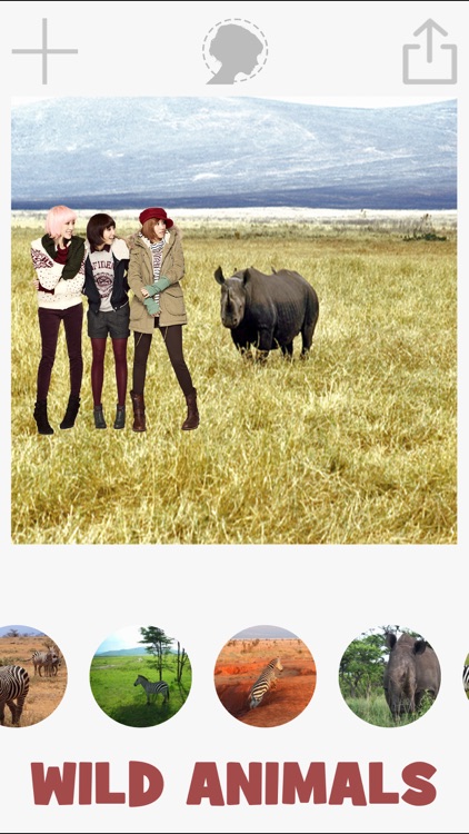 Animals photomontage with cut and paste photos screenshot-0