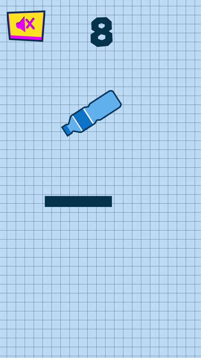 Flip Water Bottle Mania