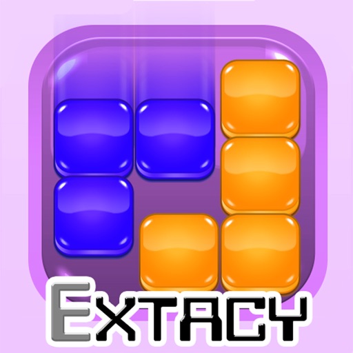 Extacy Block Puzzle Icon