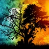 Tree Silhouette Wallpapers HD: Quotes Backgrounds with Art Pictures