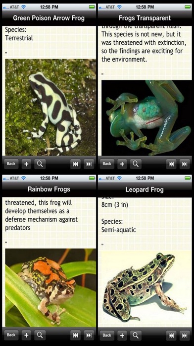 The Frogs Bible App Download Shopping Android Apk App Store The Frogs Bible App Download Shopping Android Apk App Store