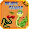 Icon Fruit Snake kids game