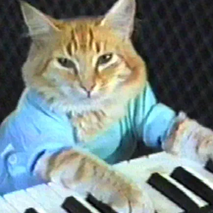 Keyboard Cat Stickers! Cheats