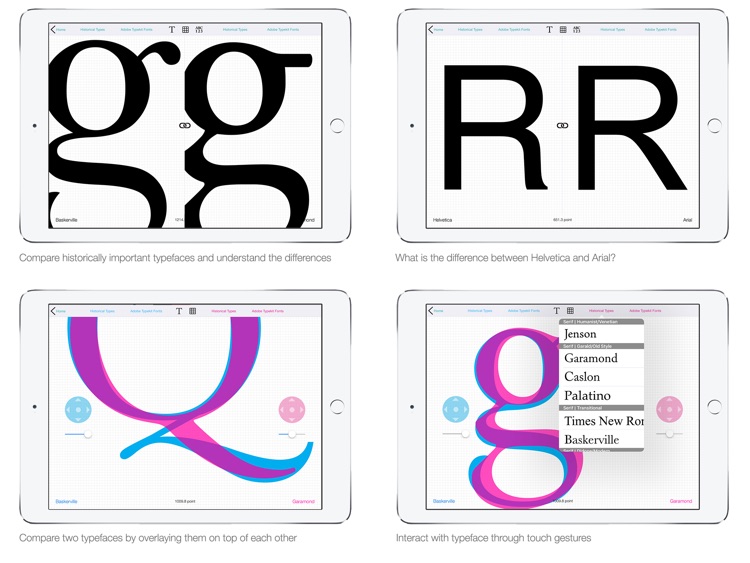 Typography Insight