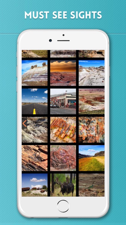 Petrified Forest National Park Visitor Guide screenshot-3