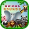 Icon Animal Sounds - Toddler Animal Sounds and Pictures