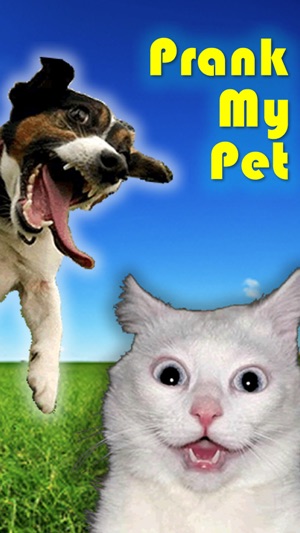 Prank My Pet(圖1)-速報App