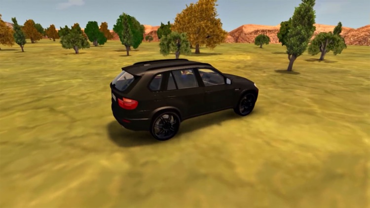 Real Car Simulator Game 2017 screenshot-3