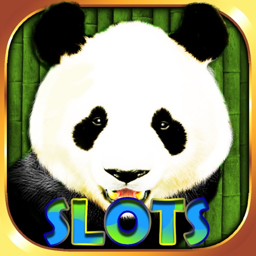 Panda Slots - Wild Panda Casino Slot Machine Game iOS App