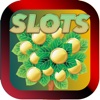 Su Best Sixteen Vegas Casino - FREE Slots Gambler Game