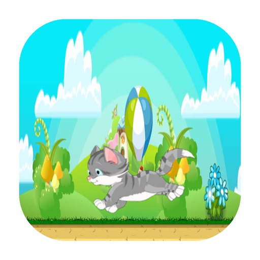 Adventure Cat Pro iOS App