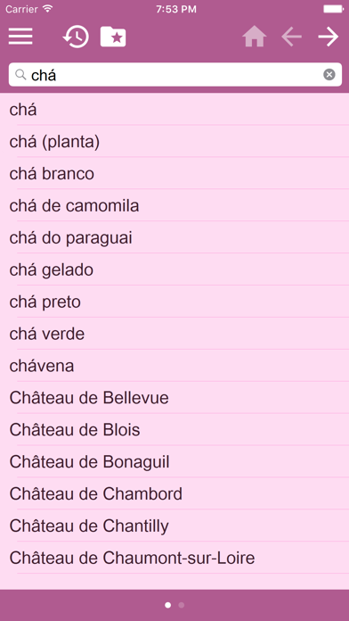 Portuguese English Dictionary Free screenshot 3