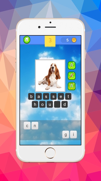 Dog images compare word guessing exercise quiz