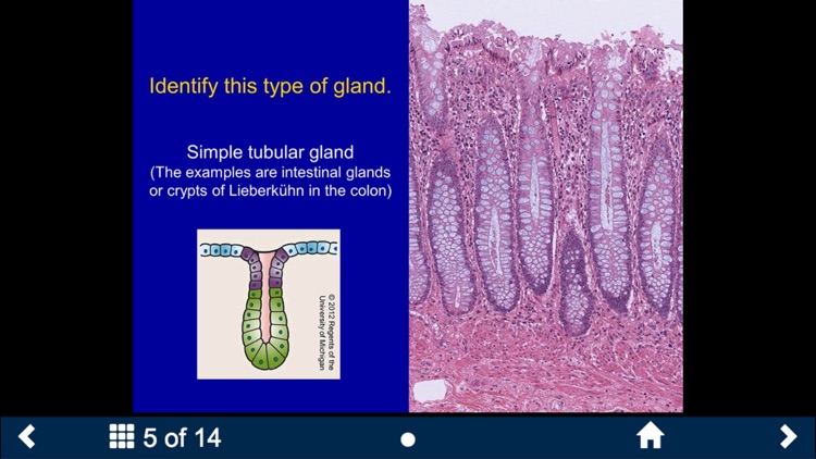 Histology Complete - SecondLook screenshot-3