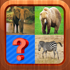 Activities of Animals Picture Quiz Word Learning Puzzles Games