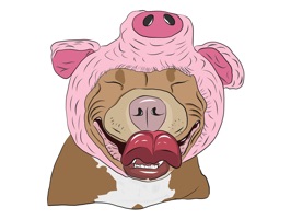 YUP: Meatball your favorite Instagram star, brought to you by @Loveabulllisa