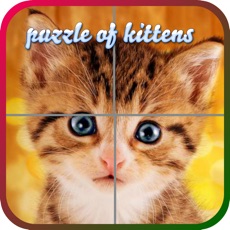 Activities of Puzzles of Kittens Free