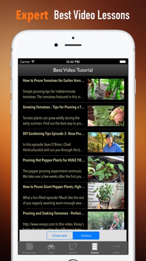 Garden Planting and Pruning Techniques(圖3)-速報App