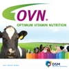 DSM Ruminants Vitamin Quiz