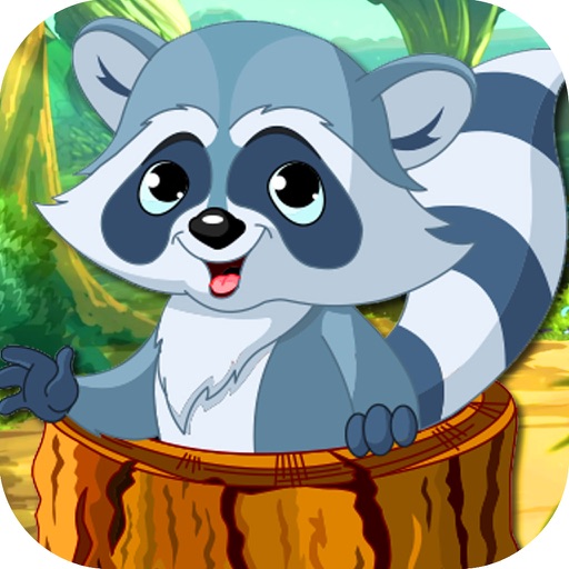 Hide and Seek of Racoon Forest Life in Hassle Zone