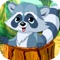 Hide and Seek of Racoon Forest Life in Hassle Zone