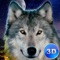 Try to be a wild wolf in Evil Wild Wolf Simulator 3D