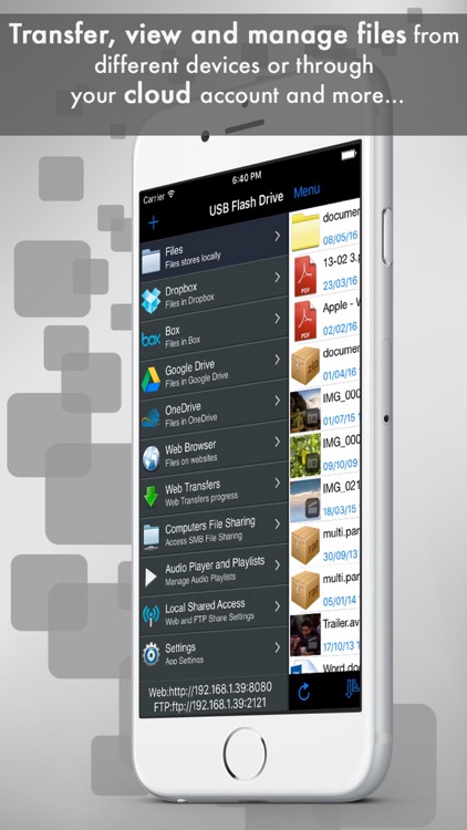 USB Flash Drive Pro Version screenshot-0