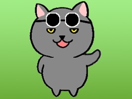 HALF THE PRICE for a LIMITED TIME