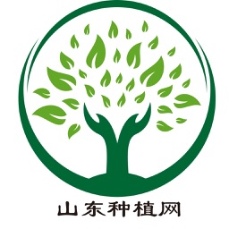 山东种植网