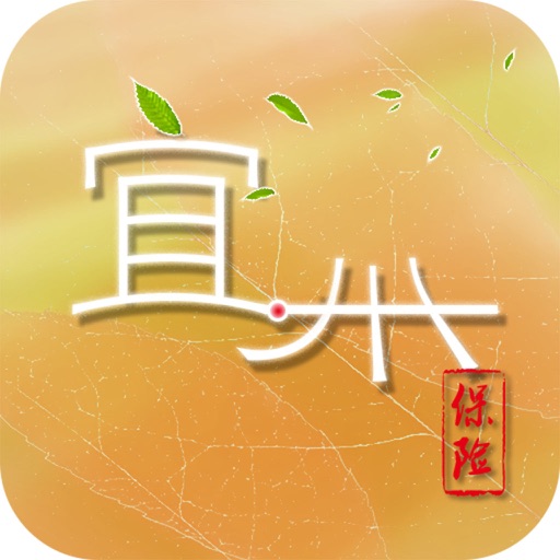 宜州保险 icon