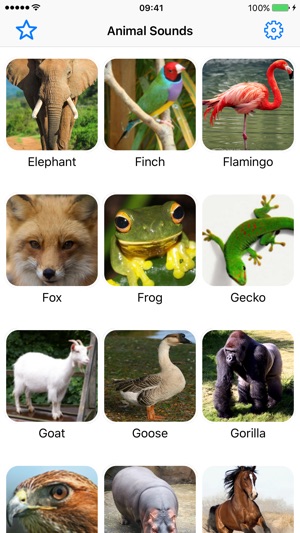 Animal Sounds Farm Jungle Forest Voices for kids(圖1)-速報App